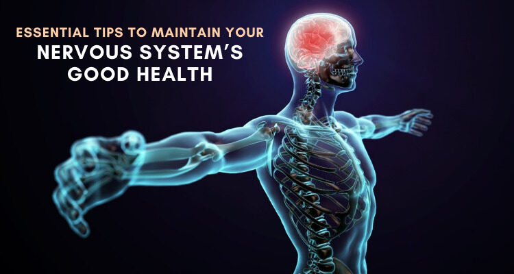 Essential tips to maintain your nervous system health