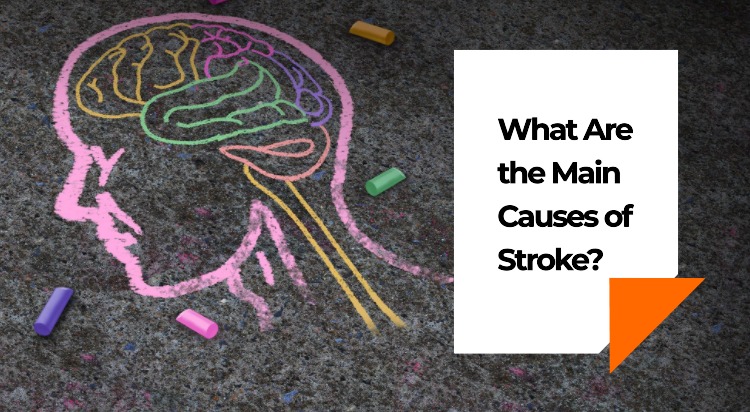stroke-causes